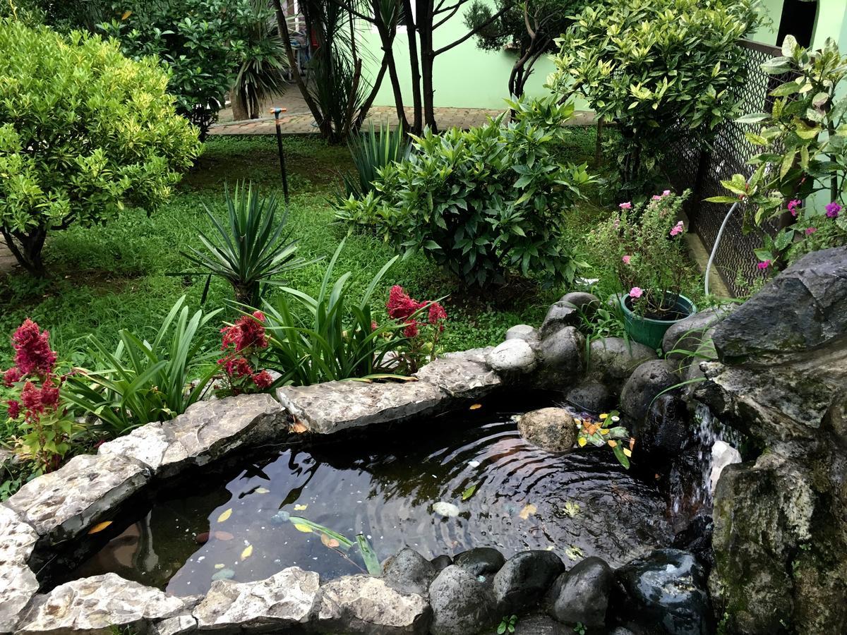 Hotel Simpatia Kobuleti Bagian luar foto